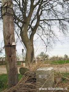 327-d-zijde-koningsbosch