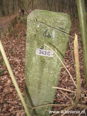 343c-omg-haaren
