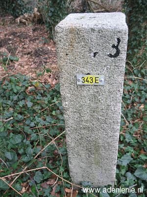 343e-omg-haaren