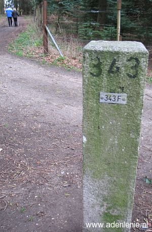 343f-omg-haaren