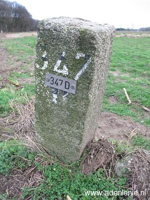 347d-omg-haaren