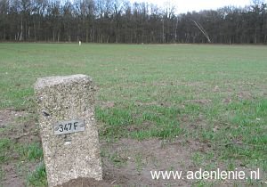 347f-omg-haaren