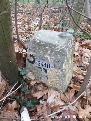 348b-omg-haaren