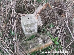 350c-omg-voorst-driesch