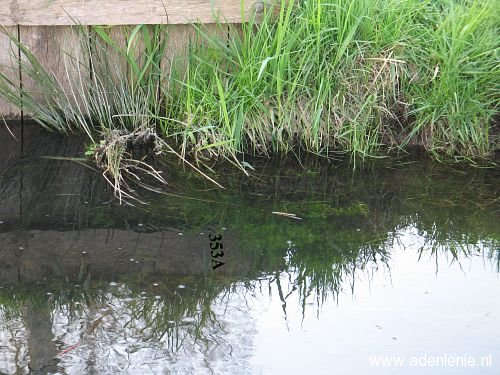 353a-n-zijde-in-de-sloot