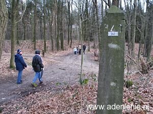 343-omg-haaren