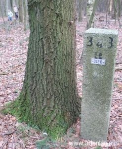 343b-omg-haaren
