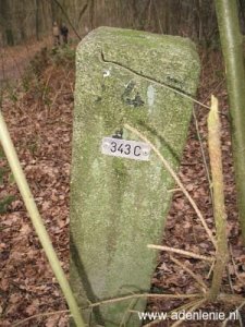 343c-omg-haaren