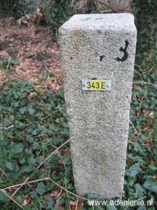 343e-omg-haaren