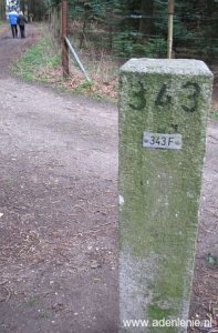 343f-omg-haaren