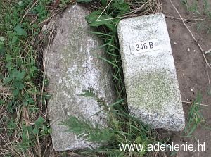 346b-omg-haaren
