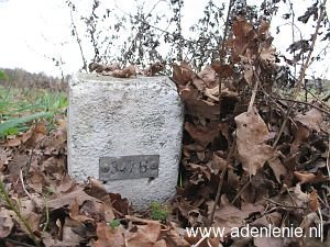 347g-omg-haaren