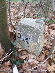 348b-omg-haaren