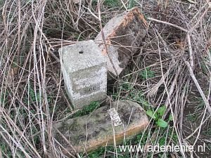 350c-omg-voorst-driesch