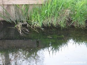353a-n-zijde-in-de-sloot