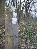 355-n-zijde-posterholt-hingene