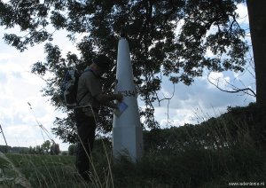 354