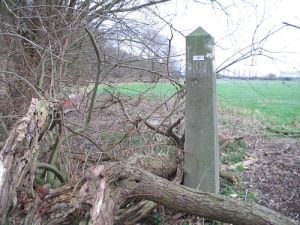 361-d-zijde-muhlerbach-omg-vlodrop1