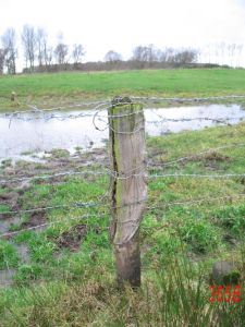 365a-n-zijde-weiland-vlodrop1