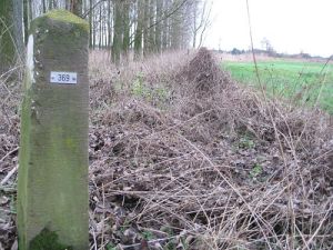 369-de-roer-omg-effeld1