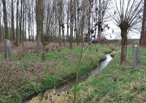 370-beide-zijde-langs-beekje-effeld1