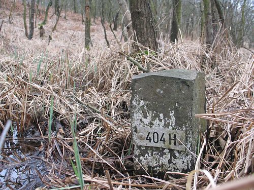 404H