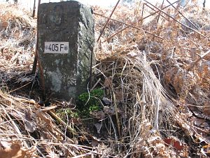 405f-meinweg-2