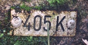 405k-nummerplaatje-eindelijk1
