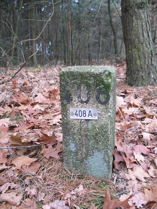 408a-steinhuvel-elmpter-wald