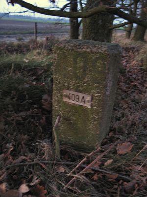 409a-asenray-omg-detail