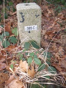 385c-natpark-de-meinweg
