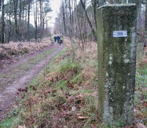386-natpark-de-meinweg-klifsberg