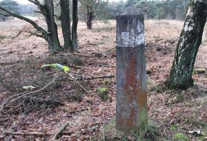 387-natpark-de-meinweg-klifsberg