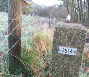 391a-natpark-de-meinweg
