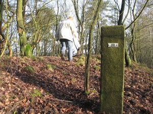 392-natpark-de-meinweg-lenie