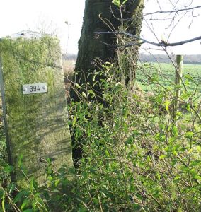 394-natpark-de-meinweg
