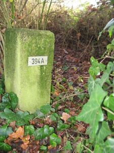 394a-natpark-de-meinweg