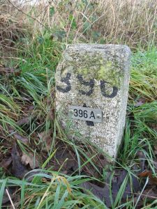 396a-natpark-de-meinweg