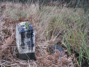 405-boschbeek-park-de-meinweg