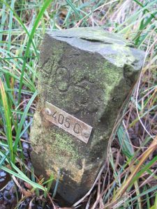405c-boschbeek-park-de-meinweg