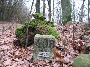 408b-elmpter-wald
