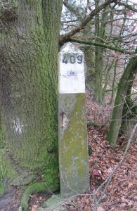 409-elmpter-wald