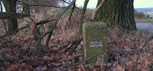 409b-asenray-omg