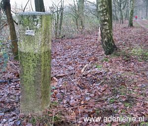 415b-elmpter-wald