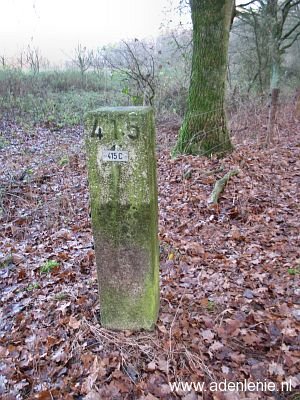 415c-elmpter-wald