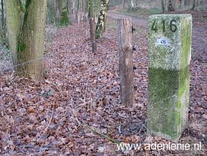 416-elmpter-wald