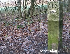 417-elmpter-wald