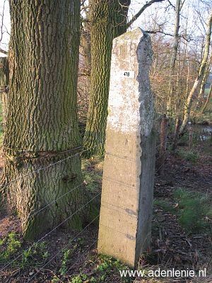 418-elmpter-wald-swalm