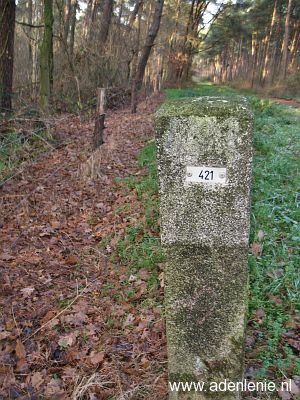 421-groene-woud-swalmen