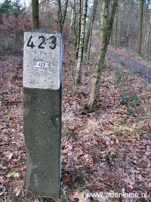 423-groene-woud-swalmen